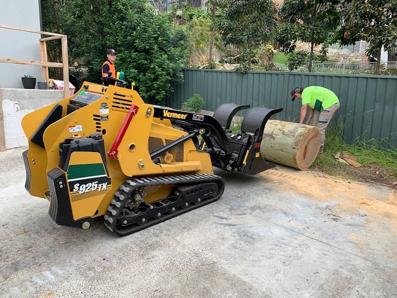 Top Cut Tree Services tree services work in Shanes Park