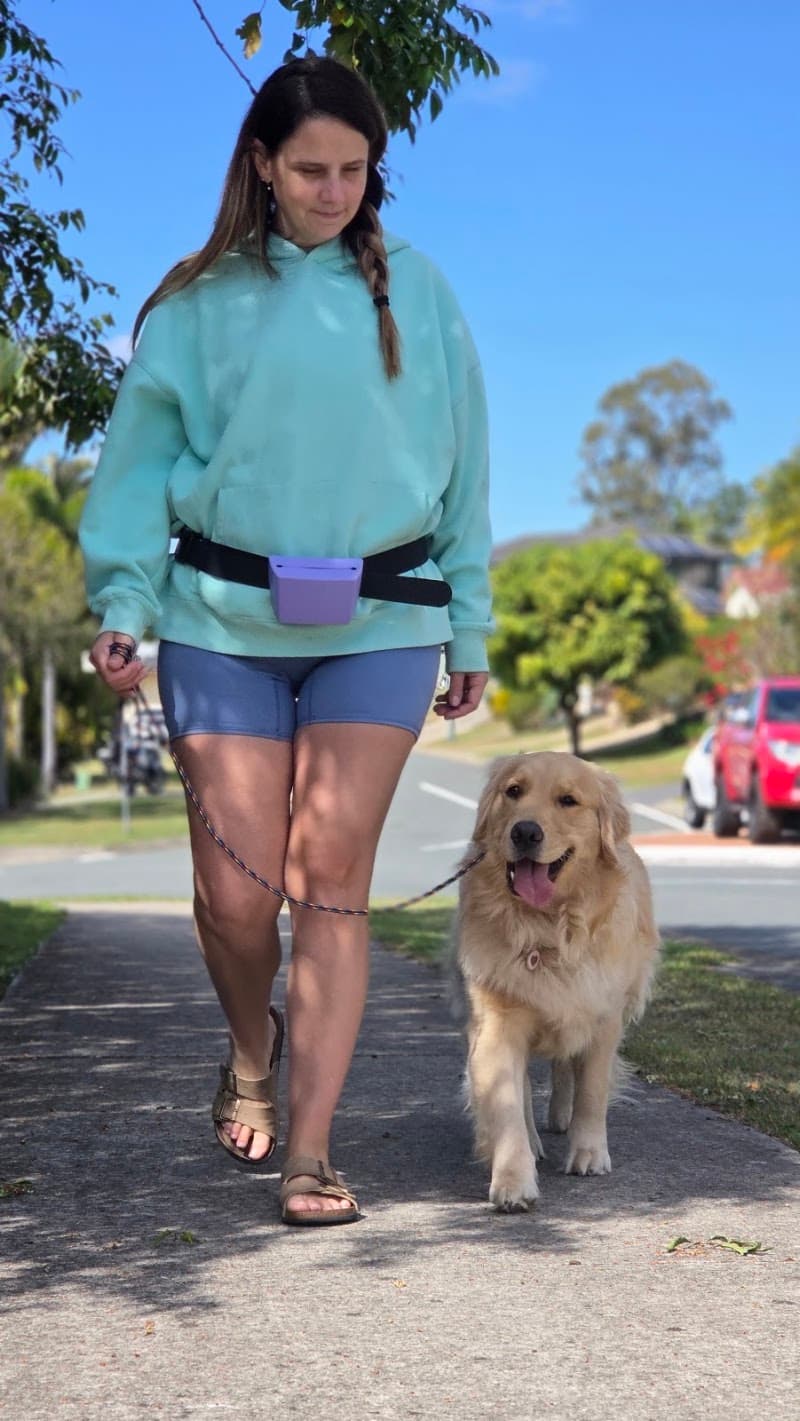 Top Dog Pawformance dog training work in Kuraby