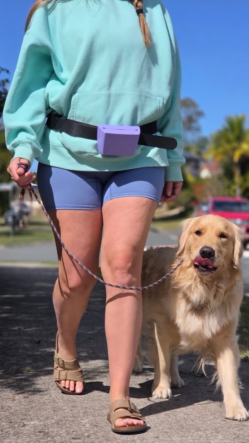 Top Dog Pawformance dog training work in Kuraby