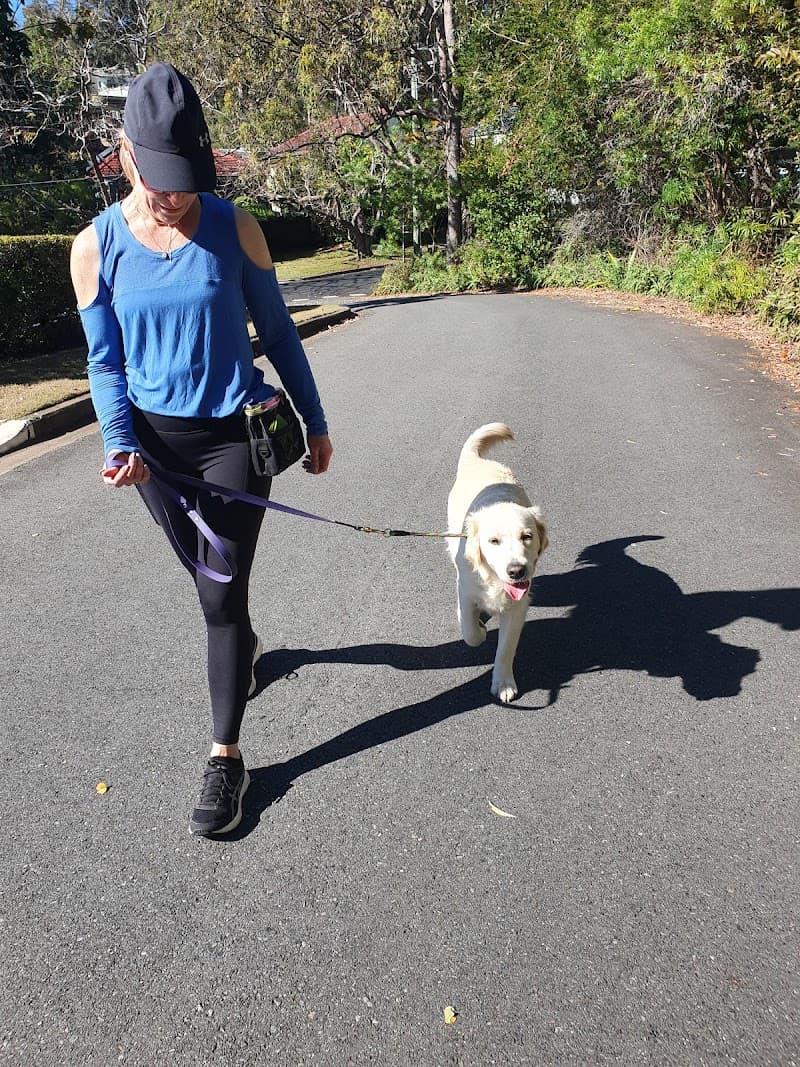 Top Dog Pawformance dog training work in Kuraby