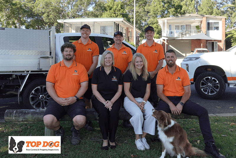 Top Dog Pest Control & Property Inspections pest control work in Biggera Waters