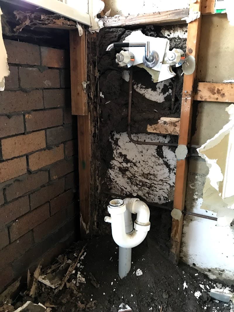 Top Dog Pest Control & Property Inspections pest control work in Biggera Waters