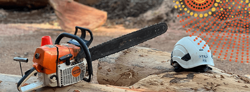 Top Notch Tree Surgeons-Boorn Wirin (Tree Spirit) Pty Ltd tree services work in Bayswater