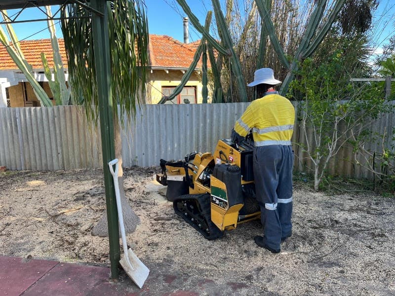 Top Notch Tree Surgeons-Boorn Wirin (Tree Spirit) Pty Ltd tree services work in Bayswater