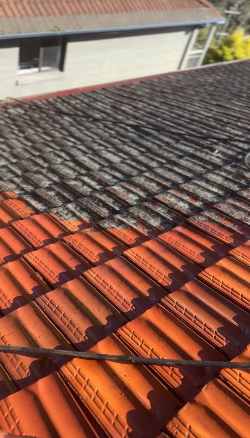 TOP STAR ROOF AND RESTORATION PTY LTD roofing work in Parramatta