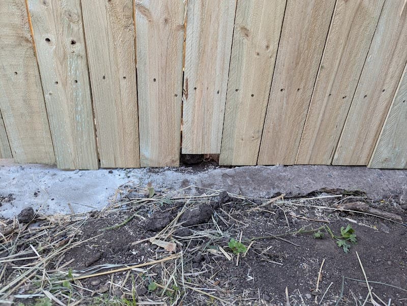 Total Fencing QLD fencing work in Brassall