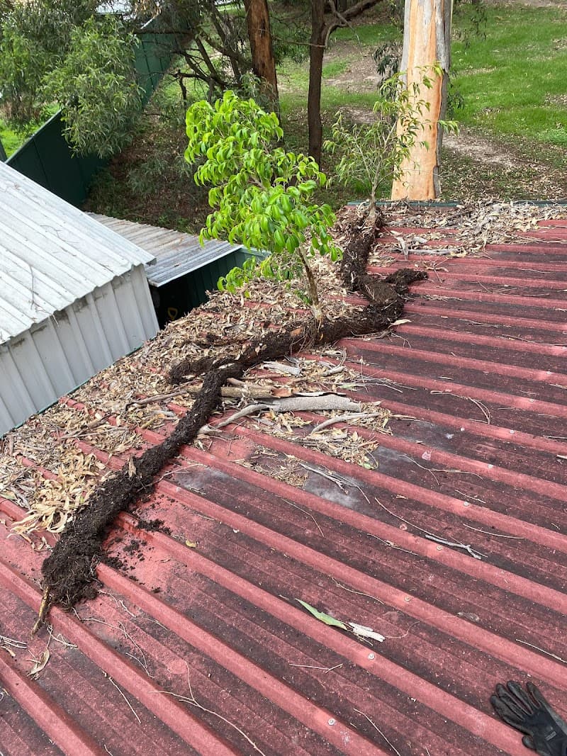 Total Gutter Clean gutter cleaning work in Logan Central