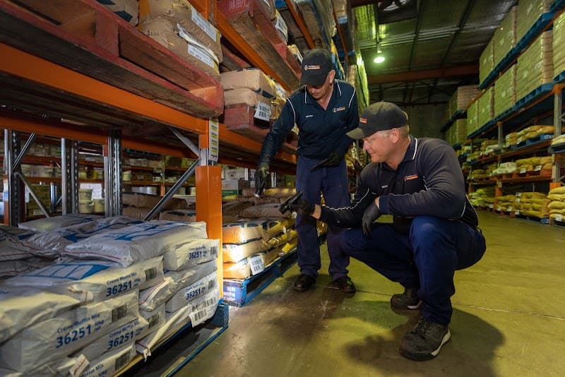 Total Pest Management Townsville pest control work in Garbutt