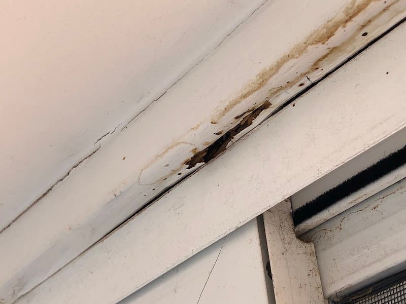 Total Pest Management Townsville pest control work in Garbutt