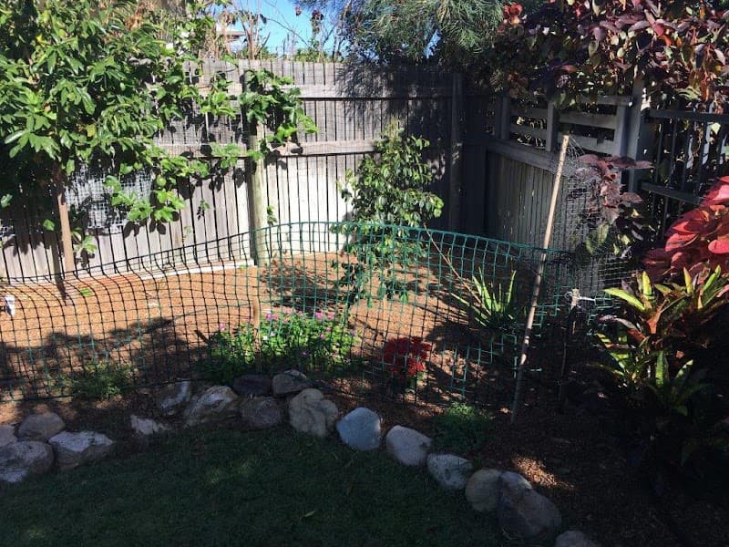 Total Pest Management Townsville pest control work in Garbutt