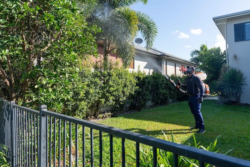 Total Pest Management Townsville pest control work in Garbutt