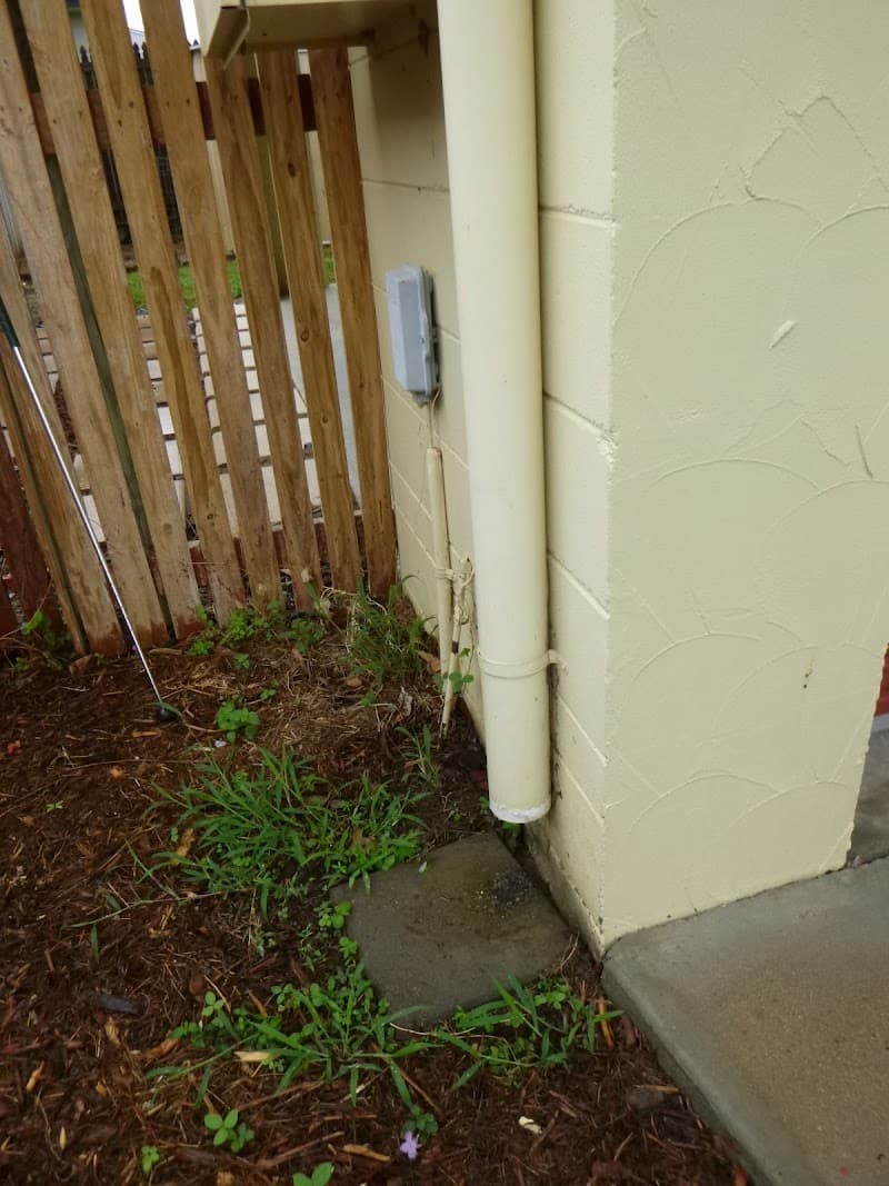 Total Pre-Purchase Building and Pest Inspections Townsville pest control work in Garbutt