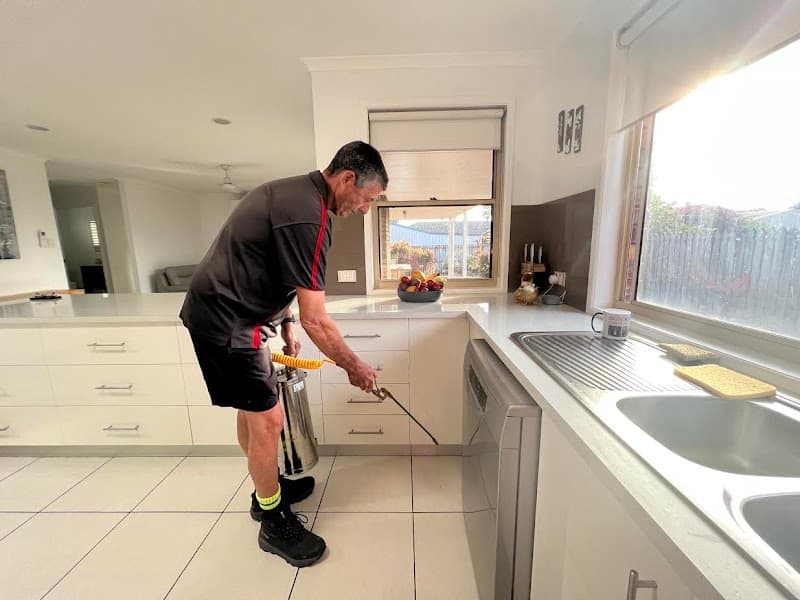 Total Weed and Pest Control (Mackay) pest control work in Glenella