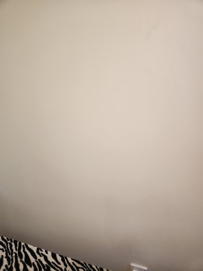 Touchupman painter work in Newtown