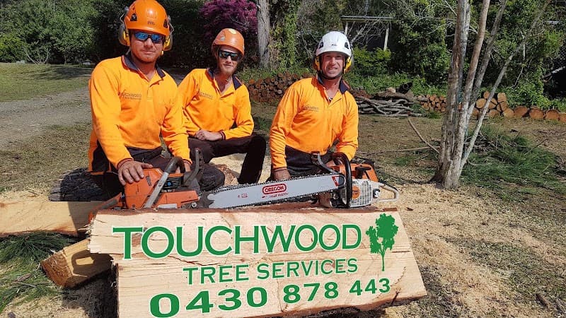 Touchwood Tree Services tree services work in Swansea