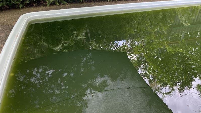 Townsville Pool Supplies pool maintenance work in Kirwan