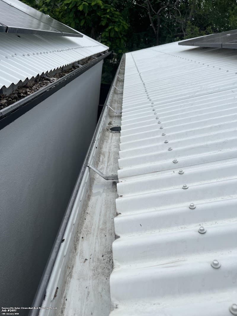 Townsville Solar Clean & Bird Proofing carpet cleaning work in Garbutt