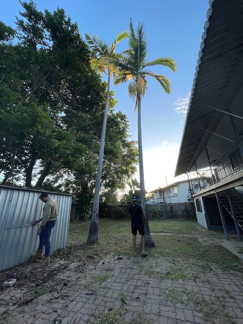 Townsville Stump Grinding and tree lopping tree services work in Cranbrook