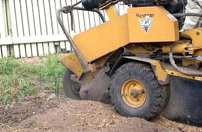 Townsville Stump Grinding and tree lopping tree services work in Cranbrook
