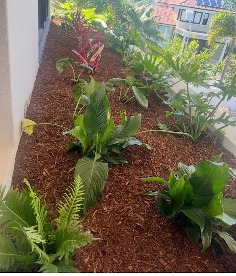 Transforming Gardens Gold Coast Landscape landscaping work in Coombabah
