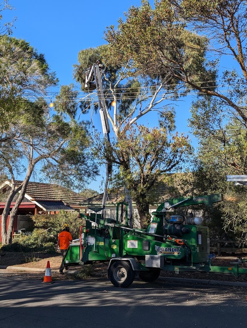 Trav's Tree Services tree services work in Preston