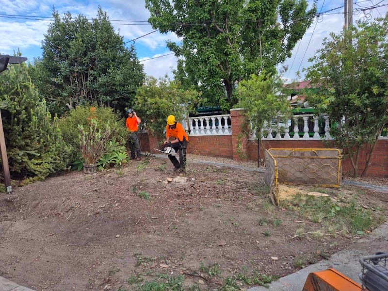 Trav's Tree Services tree services work in Preston