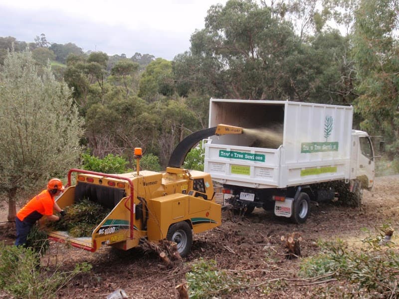 Trav's Tree Services tree services work in Preston
