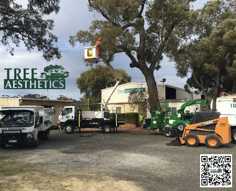 Tree Aesthetics tree services work in Hazelmere