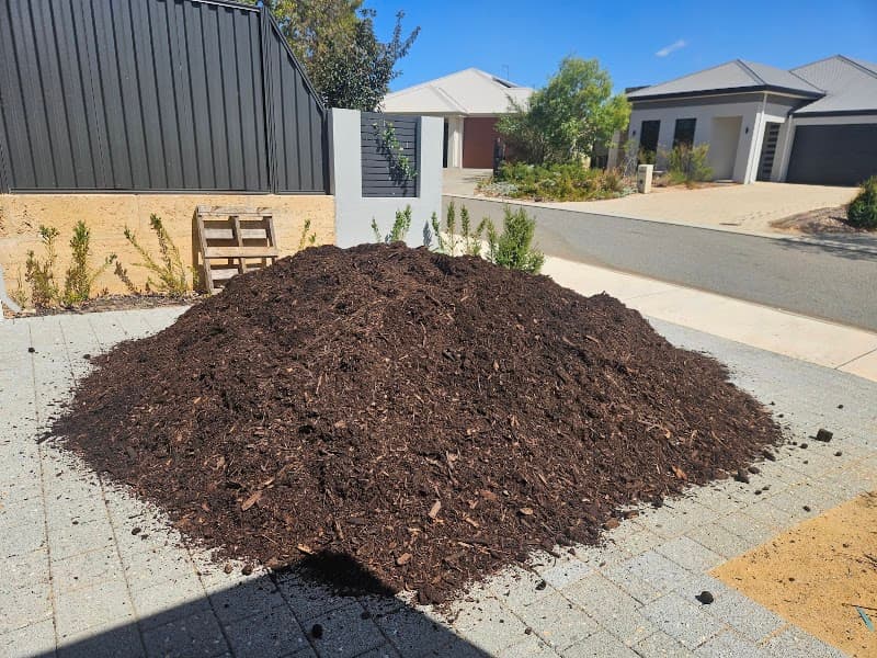 Tree Aesthetics tree services work in Hazelmere