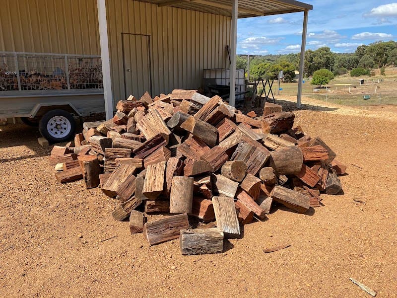 Tree Aesthetics tree services work in Hazelmere