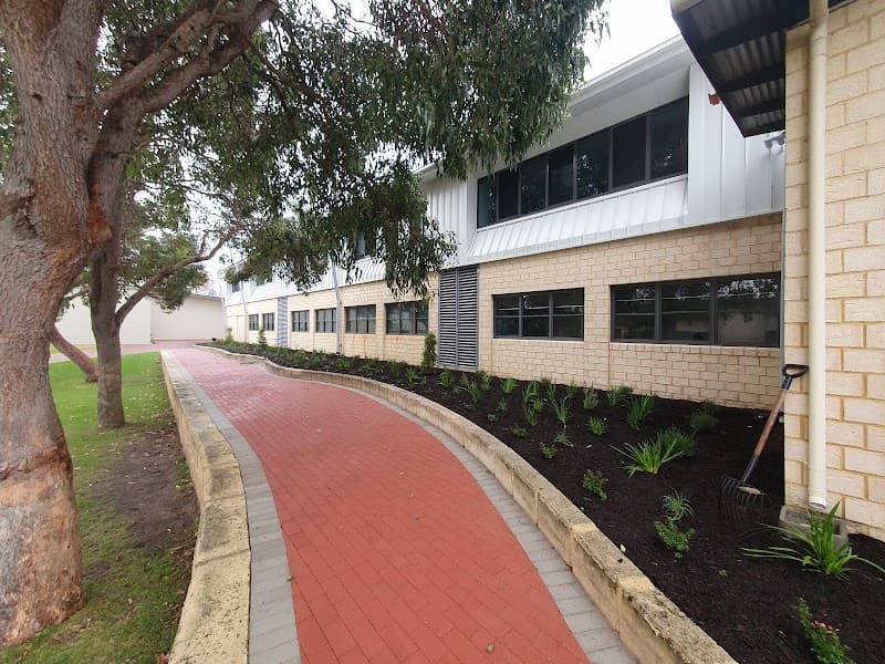Tree Aesthetics tree services work in Hazelmere