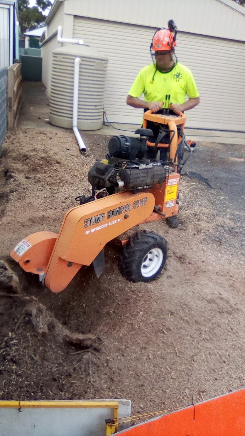 Tree Amigo's s.a tree services work in Williamstown