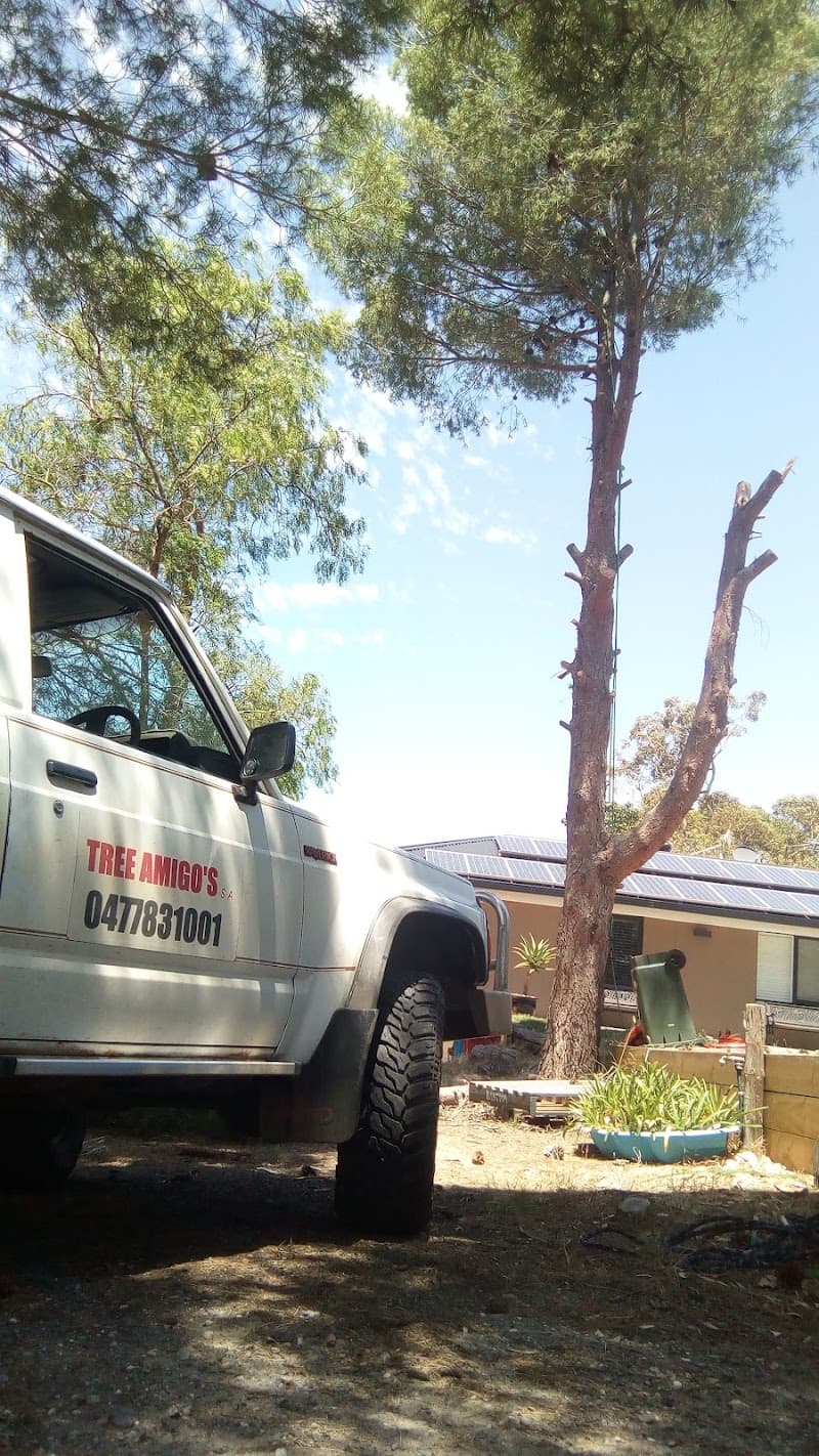 Tree Amigo's s.a tree services work in Williamstown