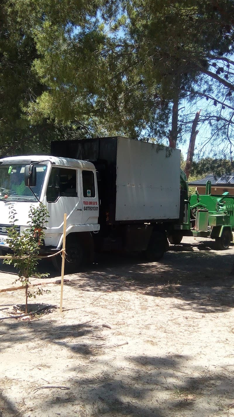 Tree Amigo's s.a tree services work in Williamstown