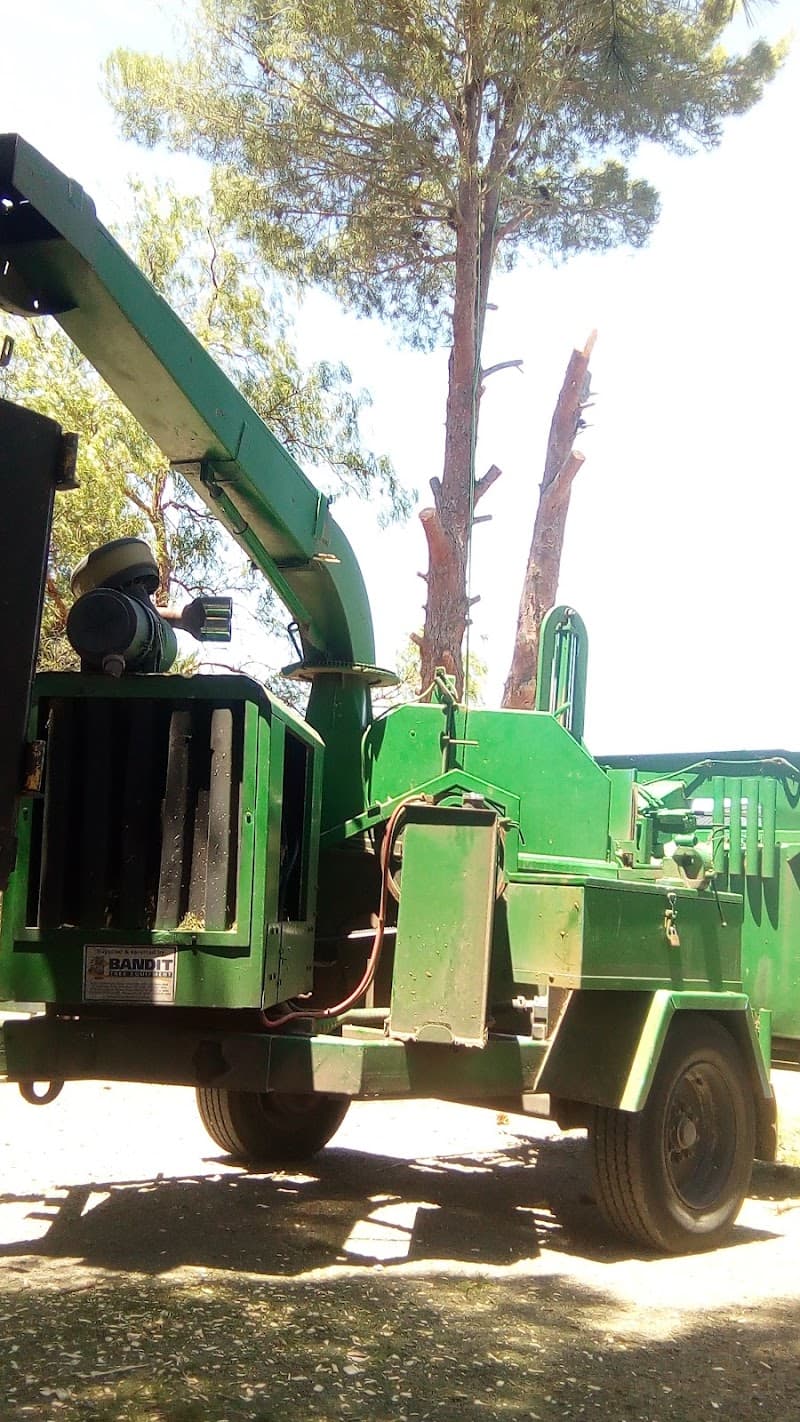 Tree Amigo's s.a tree services work in Williamstown