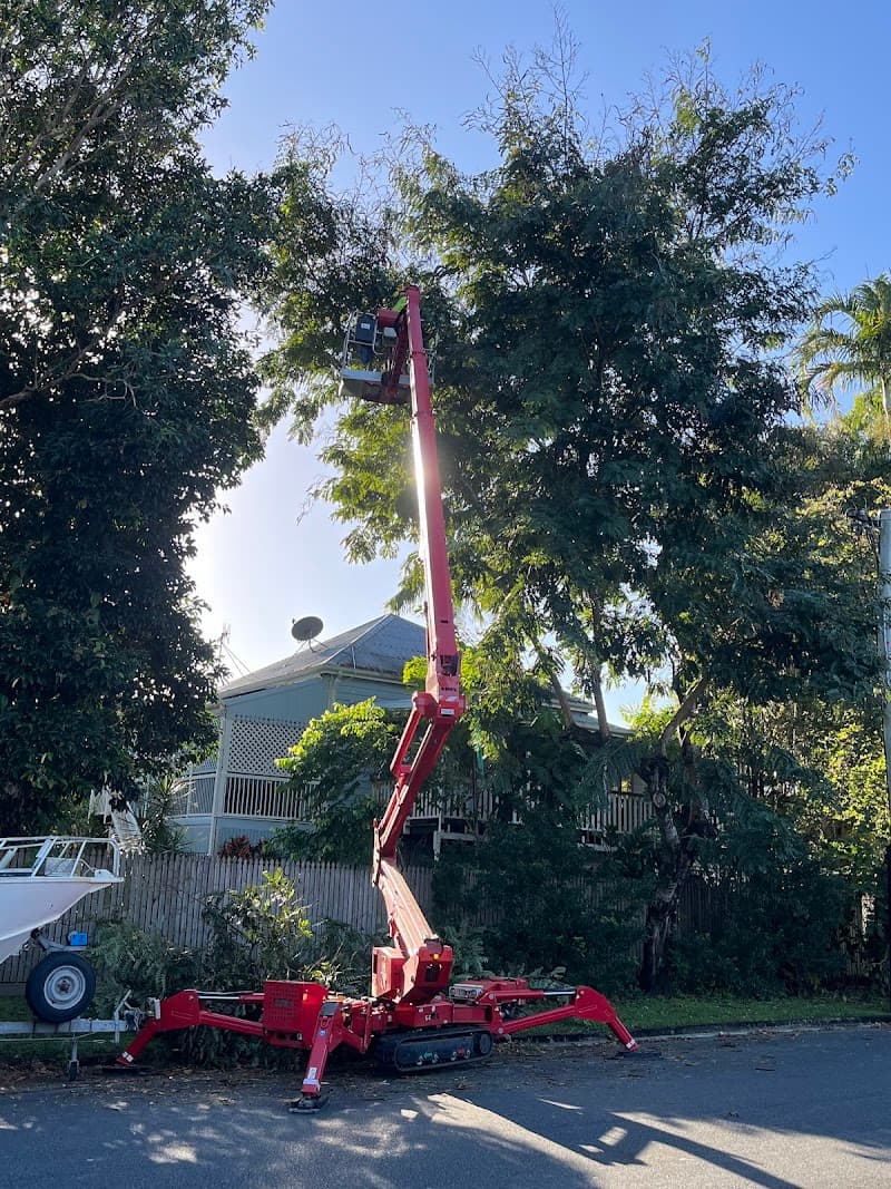 Tree Arrangements tree services work in Stratford