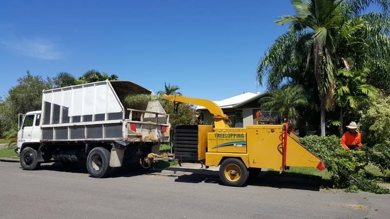 Tree Change NQ tree services work in Garbutt