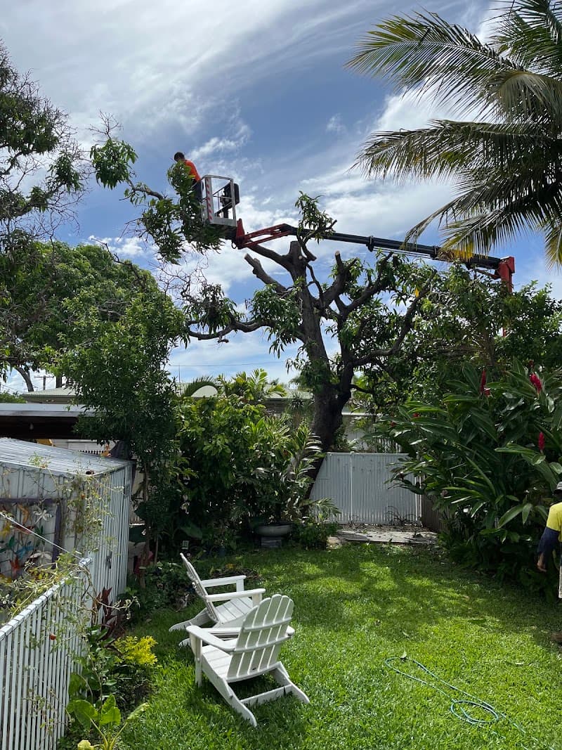 Tree Change NQ tree services work in Garbutt