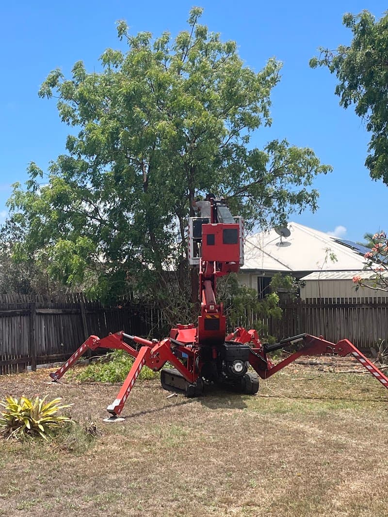 Tree Change NQ tree services work in Garbutt
