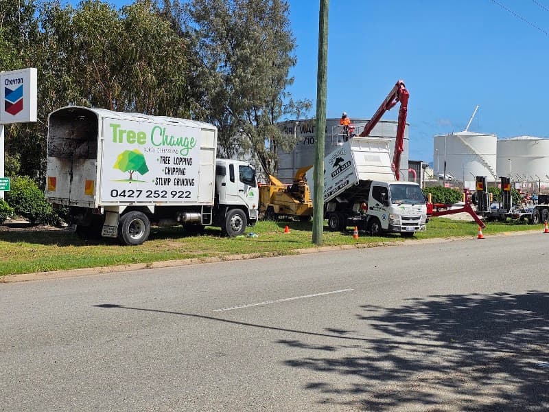 Tree Change NQ tree services work in Garbutt