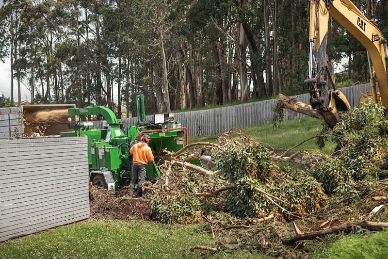 Tree Doctor Tasmania tree services work in Stony Rise