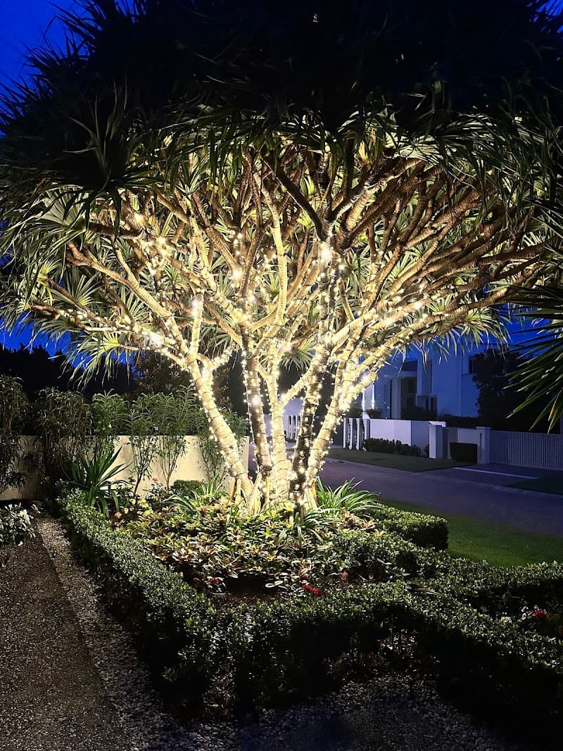 Tree Essence tree services work in Nerang