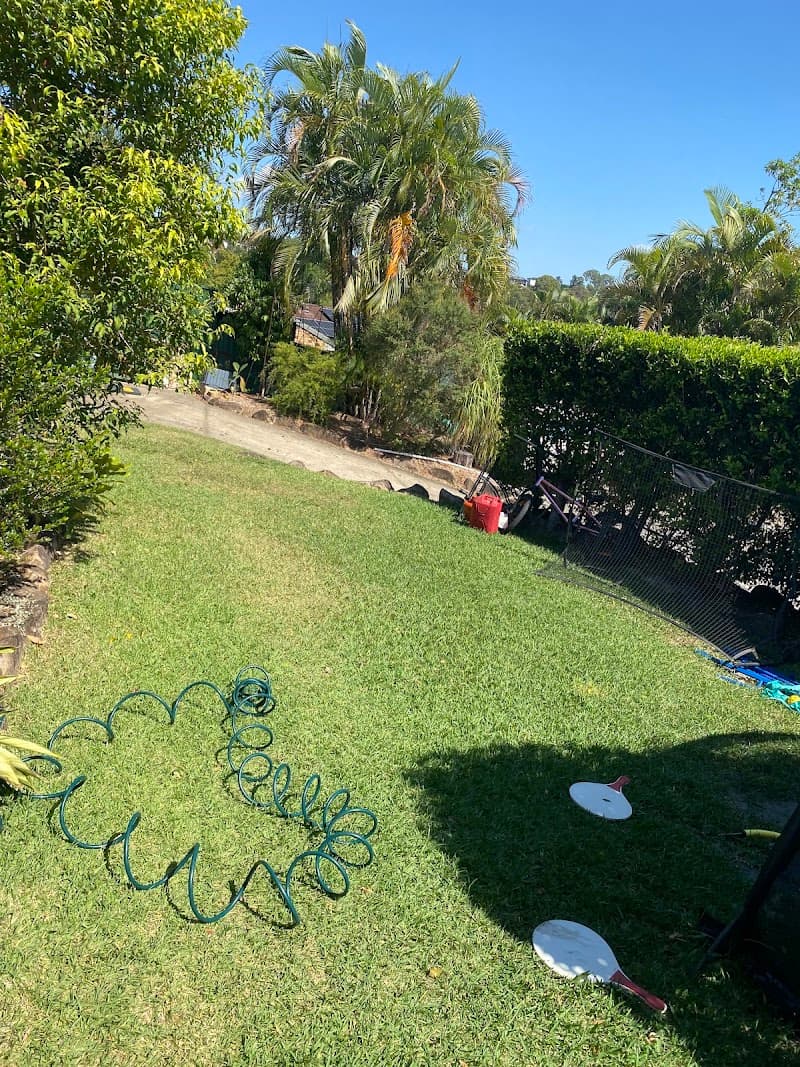 Tree Essence tree services work in Nerang
