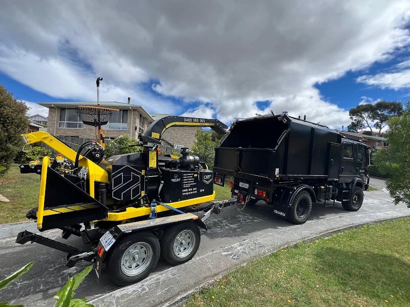 Tree Guy Tasmania Pty Ltd tree services work in Hobart