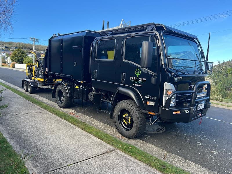 Tree Guy Tasmania Pty Ltd tree services work in Hobart