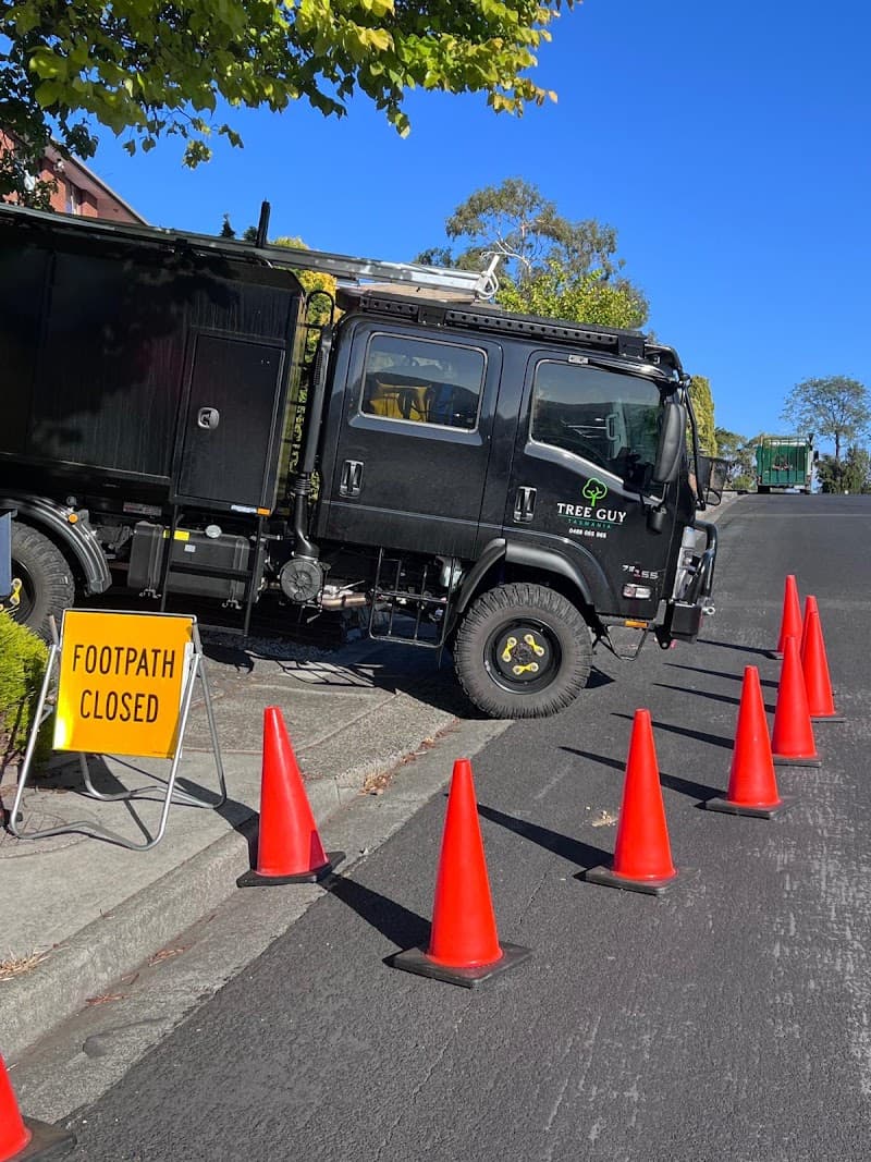 Tree Guy Tasmania Pty Ltd tree services work in Hobart