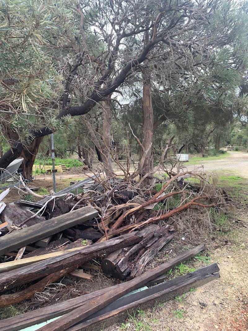Tree Loppers Mandurah tree services work in Mandurah