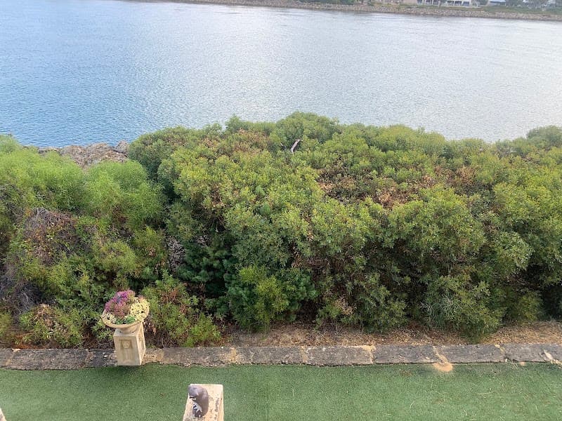 Tree Loppers Mandurah tree services work in Mandurah
