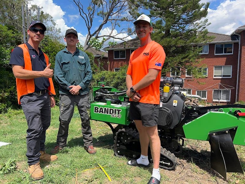 Tree Loppers Sydney-TLS tree services work in Rosebery