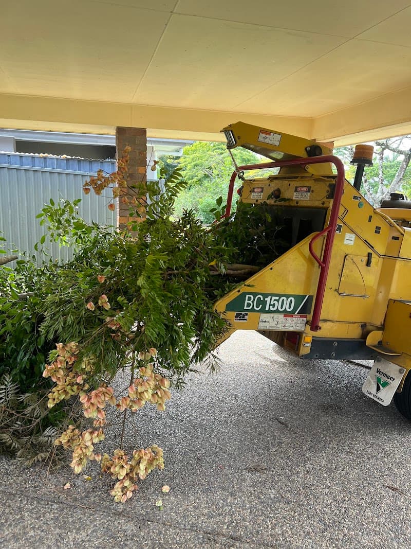 Tree Lopping Gold Coast tree services work in Upper Coomera